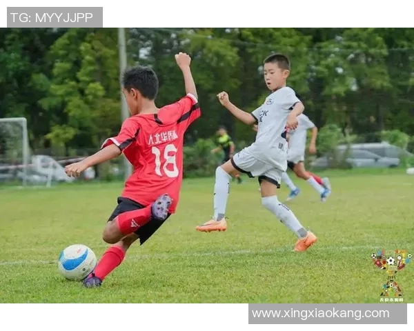 阜阳籍足球明星盘点他们在绿茵场上的辉煌成就与影响力